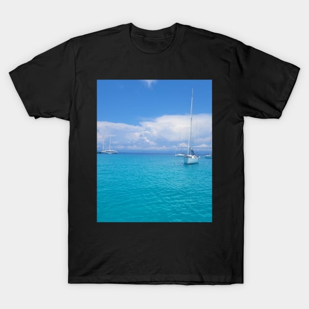 Mediterranean Serenity: Drink Blue Waters T-Shirt by HFGJewels